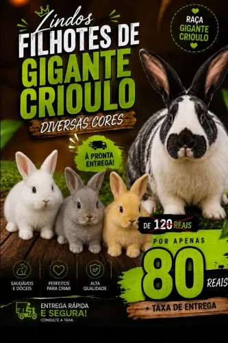 Coelho