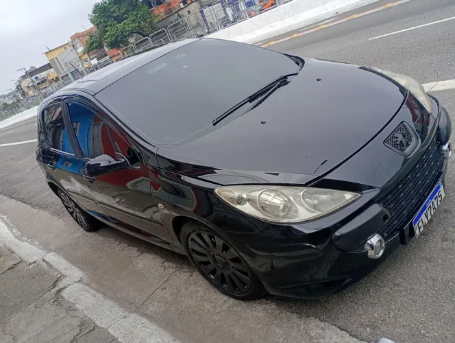 Peugeot 307 Feline 2.0/2.0 Flex 16V 5P Mec. 2007