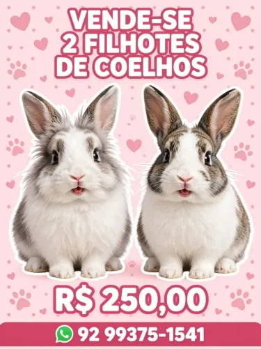 Vende-se 2 filhotes de coelhos