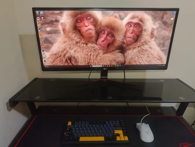 Monitor Gamer UltraWide LG 29UM69G-BAWZ