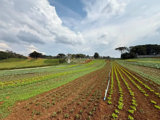 Grande Área à Venda no Centro de Colombo com Potencial de Valorização
