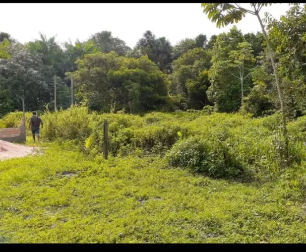 A venda no urumanduba