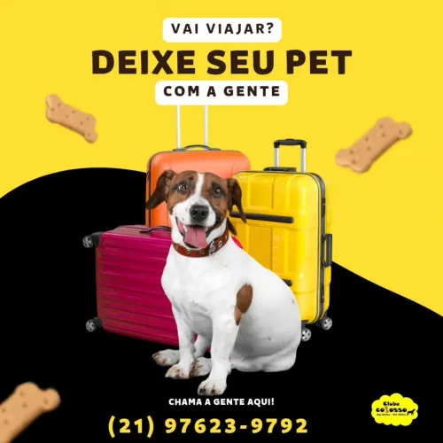 Hospedagem para cães.