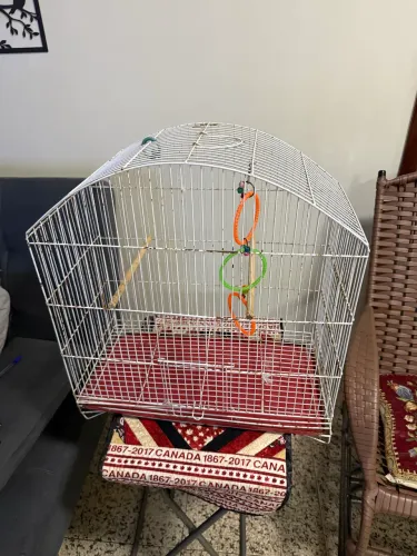 Gaiola para colopsitas