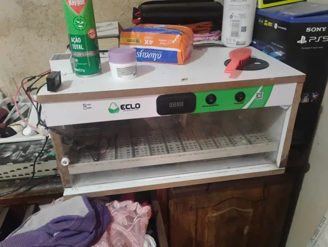 Chocadeira 