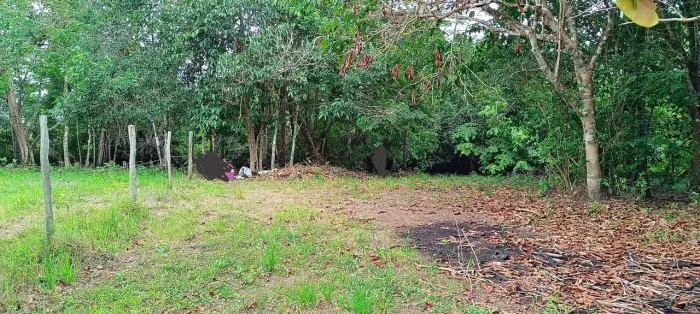 Lote rural na Beira do rio Flexal - Carro chega no terreno