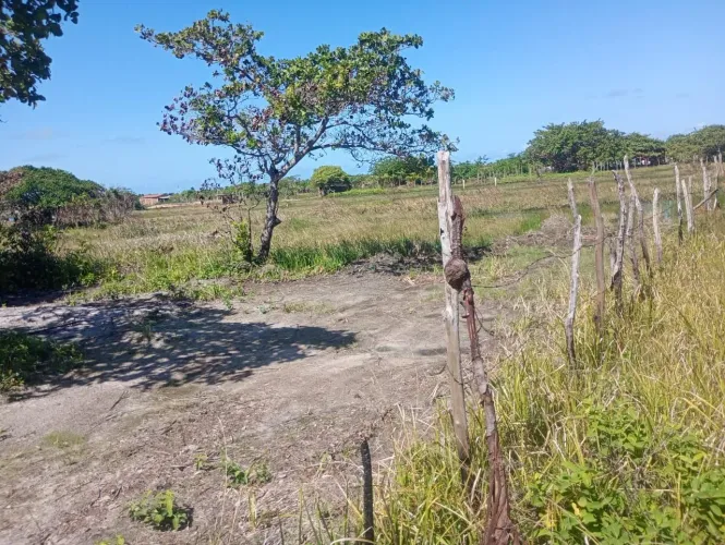 Terreno à venda, 300 m² por R$ 30.000 - Fagundes - Lucena/PB