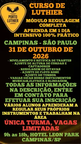 Curso de Luthier Modulo Regulagem Campinas/SP