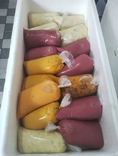 Polpas, açaí, buriti e patauá
