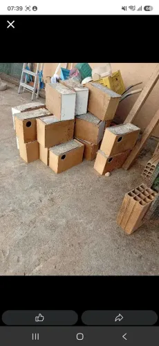 Ninhos
