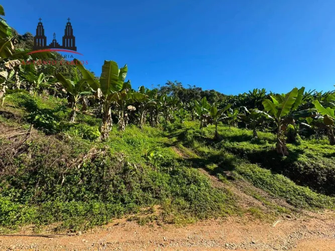 Sítio à Venda no Bairro Louro Antônio Carlos/SC
