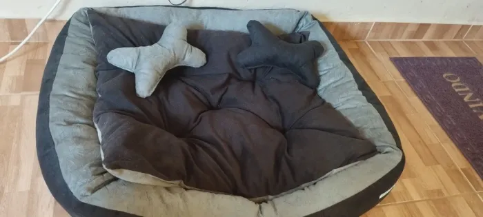 Cama Pet Grande + Almofada /boneco ?