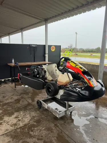 ?KART 2019 PROFISSIONAL ?