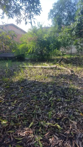 Venda