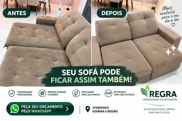 Higienização de Sofás e Estofados a Seco - Goiânia