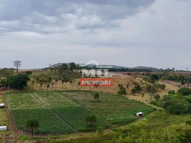 Chácara 10 alqueires (48,40 hectares) Goianápolis - GO
