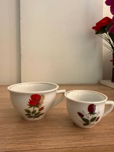 Xícaras em porcelana da pozzani 