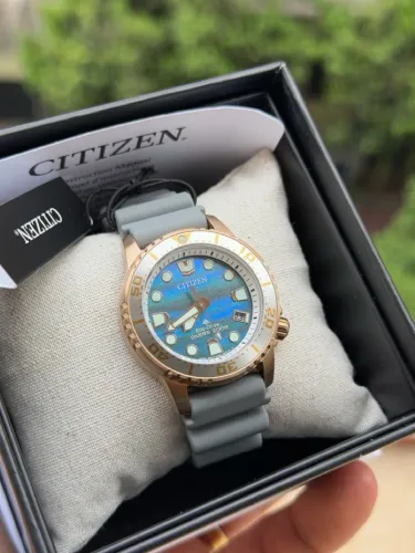 Citizen Promaster Drive EO2023-00W