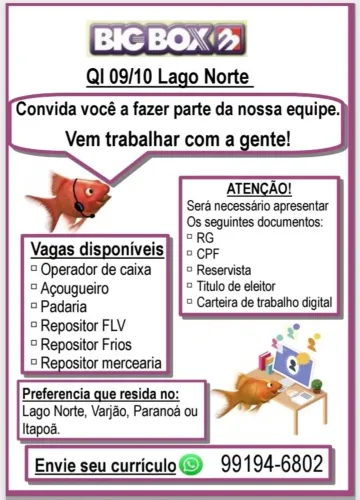 Oportunidade de emprego 