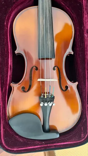 Violino 4/4 Michael VNM47 Série Ébano, Ajustado e Revisado em luthier Case retangular luxo