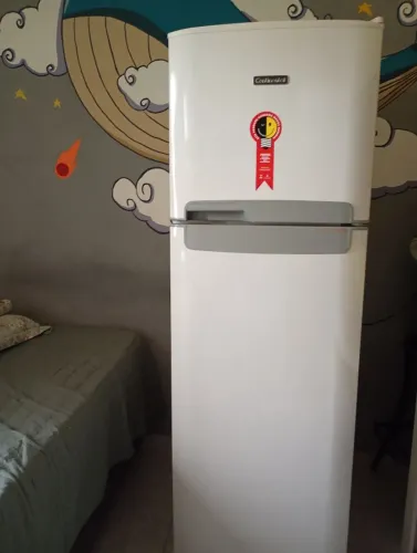 Vende-se refrigerador froos free 370 litros