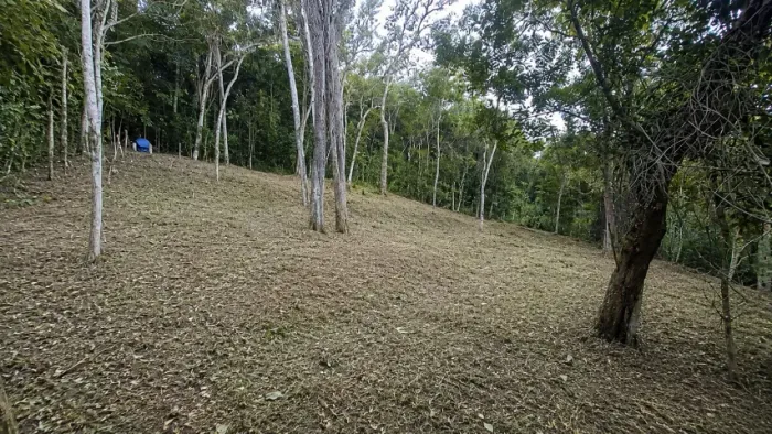 Vista Permanente para o Vale | 850m² | Excelente Potencial de Valorização |Santo Amaro da 