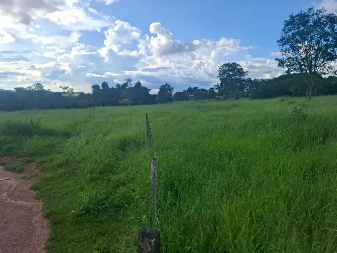 Fazenda - Jaraguá - GO