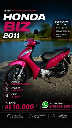 Biz 2011