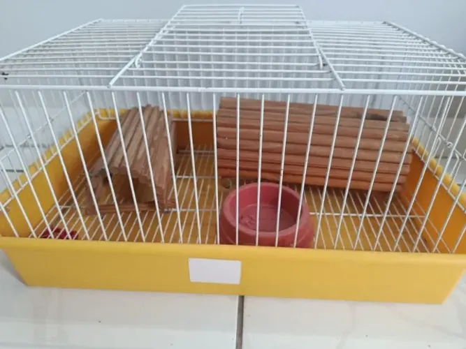 Gaiola para Porquinho da Índia