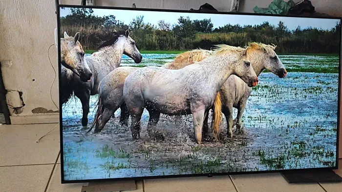 Tv Smart LG 65 Polegadas 4k Ultra HD Completa Top de Verdade 