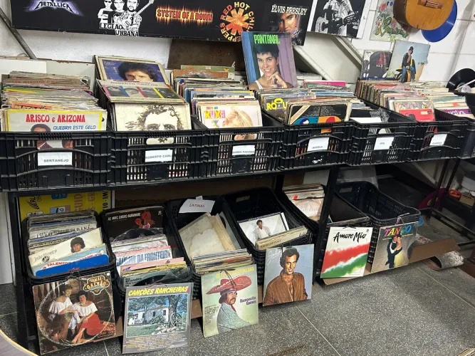 Lote 300 discos de vinil para retirar na zona norte de Sp
