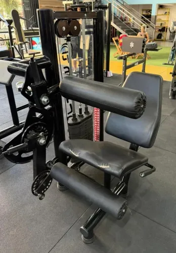 Flexora/extensora 