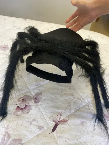 Fantasia de aranha para pet de pequeno porte