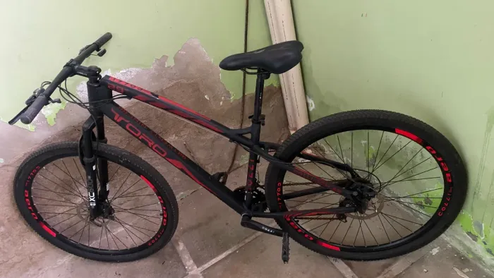 Bicicleta TORO