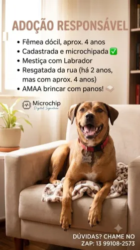 Doação