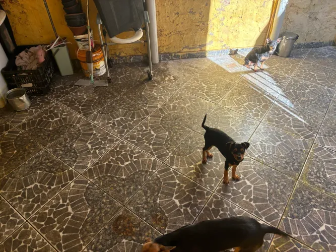 Doação 
