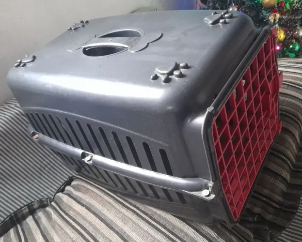 CAIXA DE TRANSPORTE PET, GRANDE