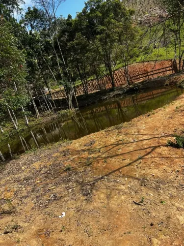 Vende-se sítio em SALESOPOLIS (SP).Possui duas casas e dois lagos 440.000R$