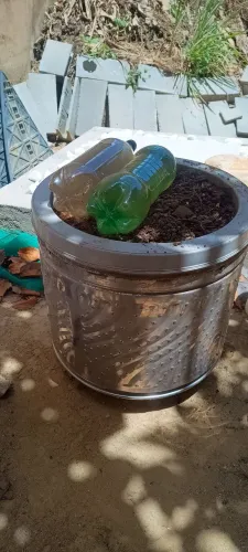 Adubo Bio fertilizante orgânico