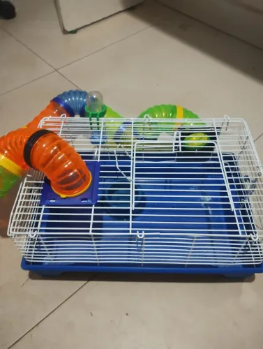 Gaiola de hamster 80 reais