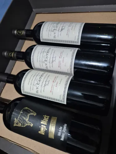 Combo vinhos D.V Catena malbec