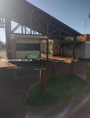 Terreno para Venda em Primeiro de Maio, ÁREA RURAL