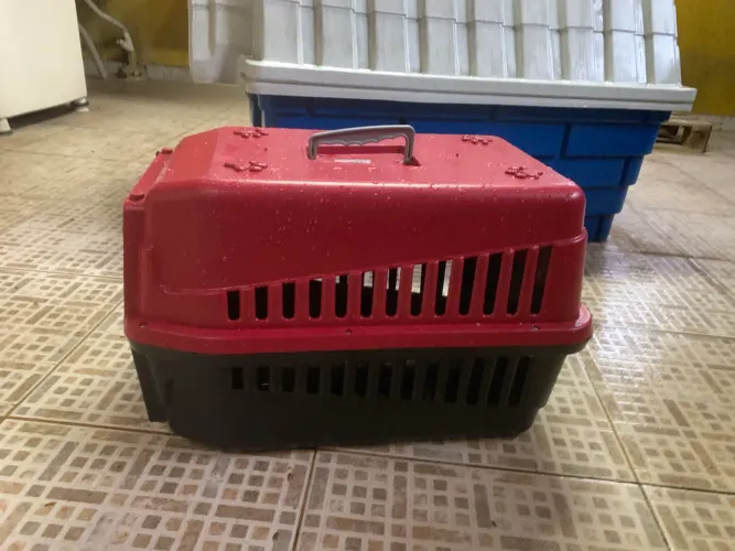 Casinha para cães e gatos 