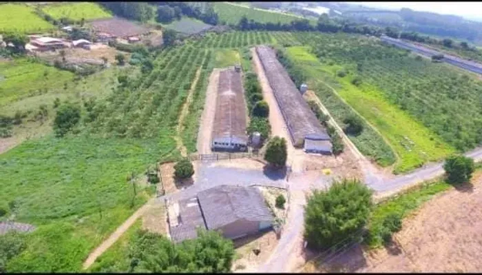 Sítio 7 Alqueires, 3 Pavilhões com 60 Mil Frangos, Casa Sede, Ótima Localização, Estuda Pa