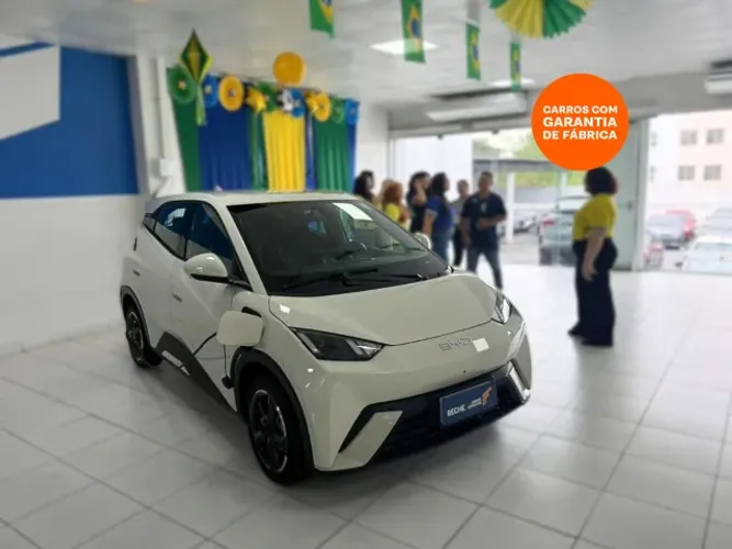 BYD Dolphin Mini (Elétrico) 2025