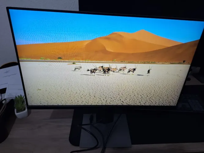 Monitor Dell 23" IPS Full HD P2319H - HDMI, DisplayPort, Base Ajustável