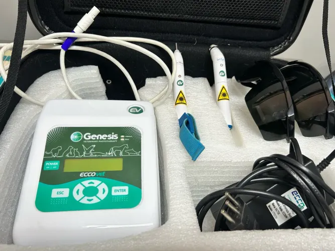 Laser terapêutico veterinário Ecco Vet Genesis seminovo 
