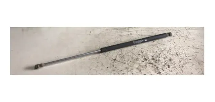 Amortecedor Tampa Traseira Peugeot 207 2005 - 2012