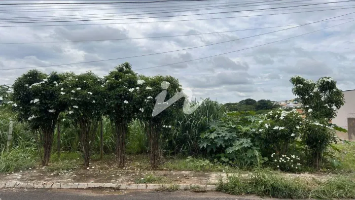 Terreno à venda, 432 m² por R$ 500.000,00 - Cidade Jardim - Uberlândia/MG