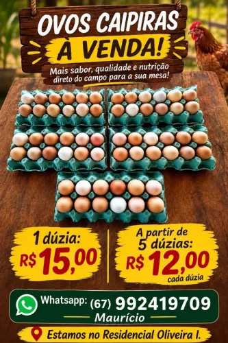 Venda de ovos caipira 